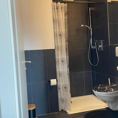 Schoenes Und Modernes Vs *