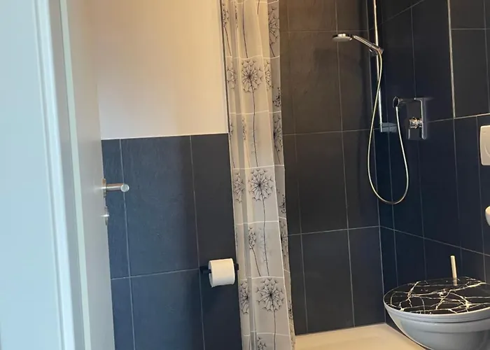 Schoenes Und Modernes Vs *